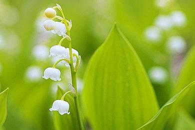 虚幻引擎5《黑暗之魂3》演示 画面场景更逼真